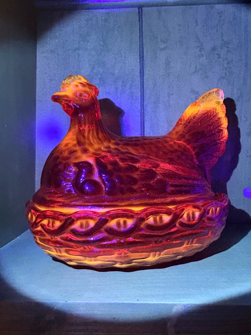 LE Smith Amberian Hen on a nest *GLOWS*